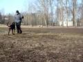 videos de Ja nyt on pojan vuoro viilarinkentällä