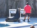 Acuario de Mazatlan 02