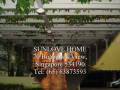 videos de Visit To Sunlove Home