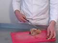 Pigeon: plucking, breasting & gutting, with Mark Gilchrist