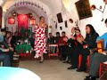 El vecino del Faraón - Mi coca se cayó en la arena