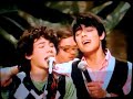 Jonas Brothers- I wanna be like you