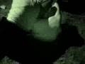 videos de Taylor Ramsey 3