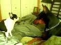 they-dont-get-along-well.html