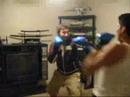 Fight Hilights