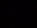 Led Zepplica  ( no video )