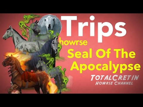 how to start off your ec on howrse
