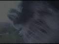 Dying For A  Slash - Movie Trailer
