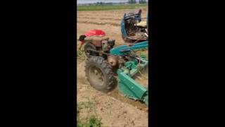 Potato Harvester