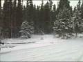 videos de Nov 30 2008 - VID00108