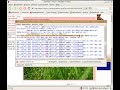 Studivz Bilder runterladen !!! Nur f�r Gruppenmitglider !!!