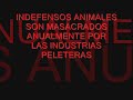 no al maltrato moda muerta 