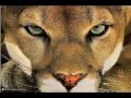 TOP 20 MOST UNBELIEVABLE PHOTOS PART 9