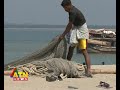 wildlife news of Bangladesh---shark killing---17