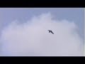 SAAB Viggen