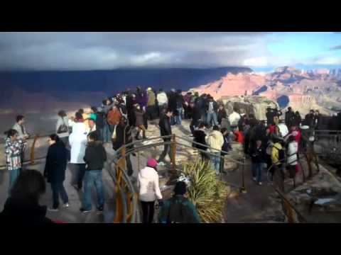 grand national results