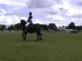 Neston Ridden Mountain and Moorland July 6th 2008