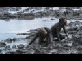 Girls getting Wild ~ Mud Fight