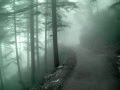 videos de Utada Hikaru~ Sanctuary