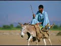 Punjab