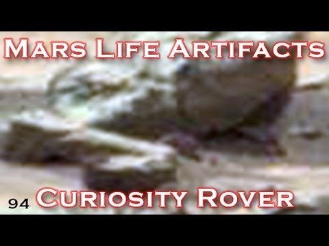 Past Life On Mars?