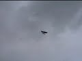 BLazy Bee Flight