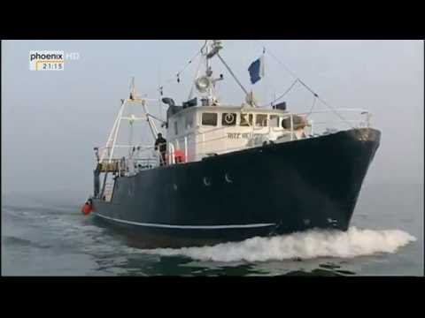 Tod in der Ostsee: Der Untergang der Steuben (Doku  ...