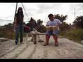 Why - Marga and Elwell ft. 