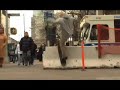 ZOO YORK FOOTWEAR COMMERCIAL
