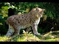 Vala?sk� Kr�lovstv�