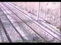 videos de Meet the WORLDS DUMBEST HUMAN