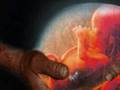 Oltre l'invisibile Gen Rosso