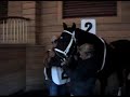 Schlegel- Kassen Horse Racing by Routh