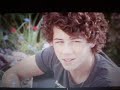 Bird house-Camp rock Bird house-Camp rock