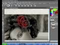 videos de paint shop pro 12 tutorial italiano