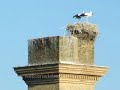 coria-del-r-o-webcoriadelriocom-.html