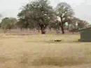 from a trotro in ghana