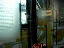 tempered glass