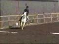 Dressage 1st & 2nd Prelim 10 - Libby & Bella 1 & 2