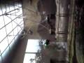 Biologie 1