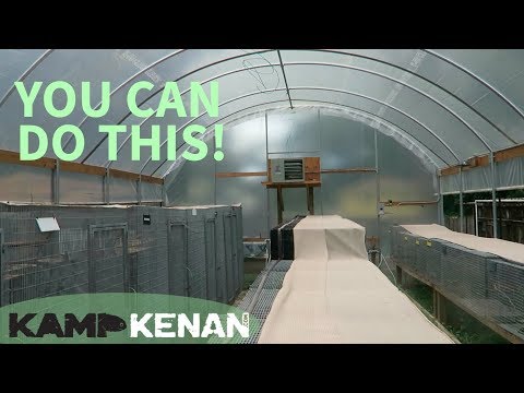 YouTube reptile video