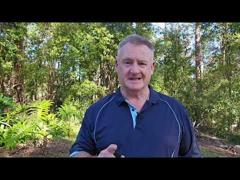 Speed in Swimming – Think Smarter Not Just Faster | Wayne Goldsmith