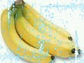Why I love Bananas Why I love Bananas