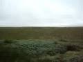 Newfoundland 2008
