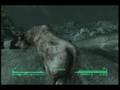 Fallout 3 Geatest Cow EVER!