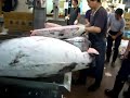 Tsukiji Fish Market
