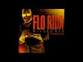 Flo Rida – Wild Ones ft. Sia (Official Instrumental)