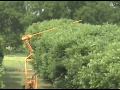 GVF Pecan Topper Hedger