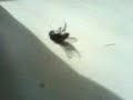 Breakdance