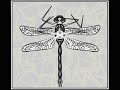 dragonfly via angizia